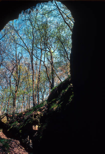 istock Mammoth Cave NP - View from the Cave - 1980 2186676588