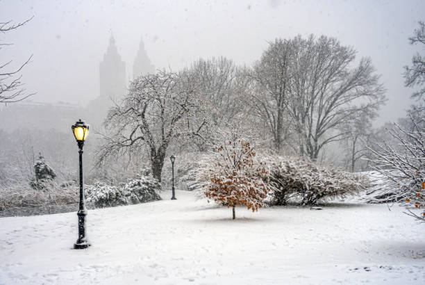 istock Central Park in winter , during snow storm 2186677359