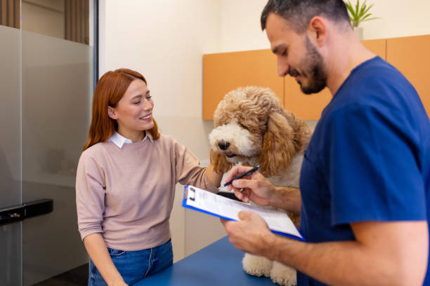 A Successful Vet Visit: Owner and Veterinarian Collaboration