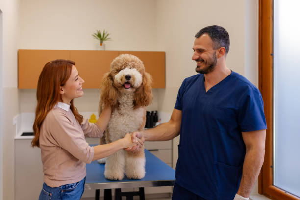 istock Building Trust: Pet Owner Shakes Hands with Veterinarian After Visit 2186680019