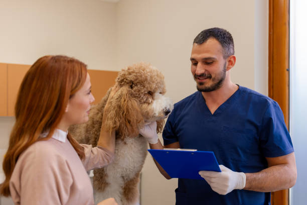 istock Pet Care Partnership: Owner and Veterinarian Meeting 2186680022