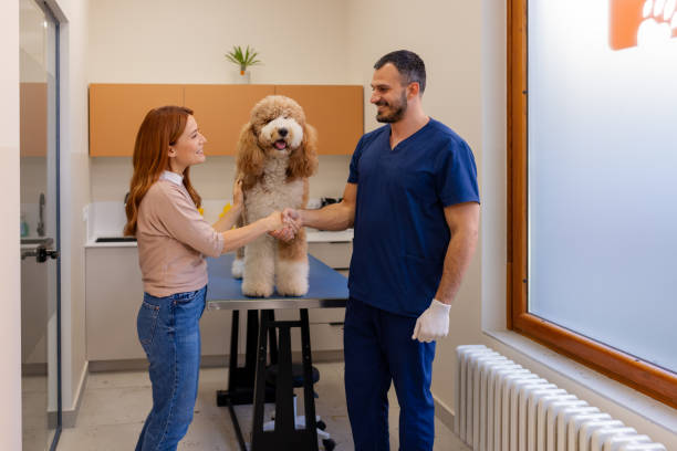 istock Building Trust: Pet Owner Shakes Hands with Veterinarian After Visit 2186680029