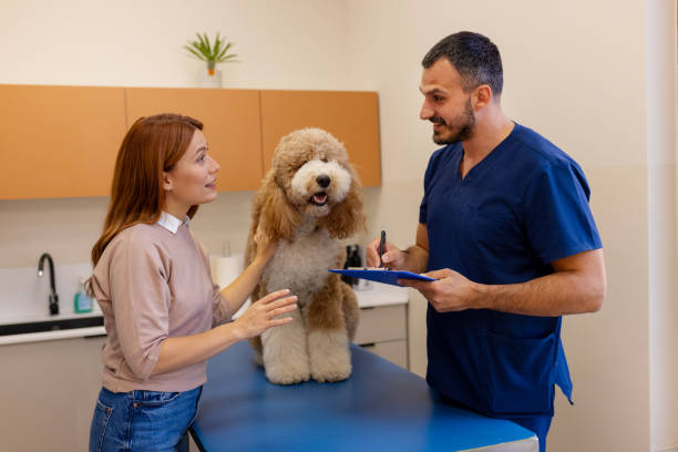 istock A Successful Vet Visit: Owner and Veterinarian Collaboration 2186680174