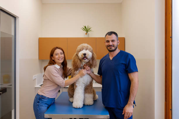 istock Happy Veterinarian and Owner Pose with Relaxed Poodle 2186680291