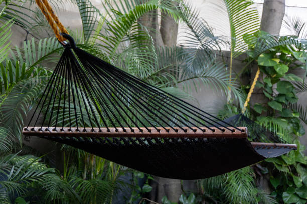 istock Black hammock to relax with a background of plants 2186683616