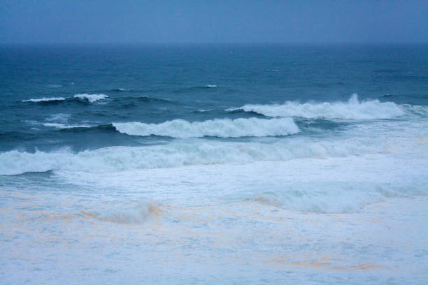 A vast, powerful ocean with rolling waves and white foam stretches under a soft, misty blue sky, creating a serene yet dynamic seascape