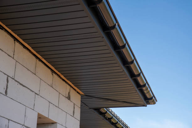 istock Metal soffit on roof overhang with gutter system 2186685727