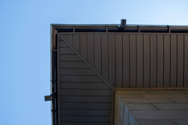 istock Metal soffit on roof overhang with gutter system 2186685733