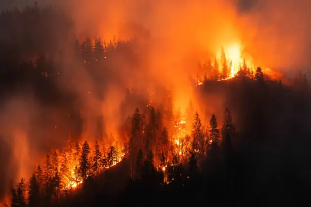 Pretty Wildfire 1000+ Wildfire Pictures | Download Free Images on Unsplash