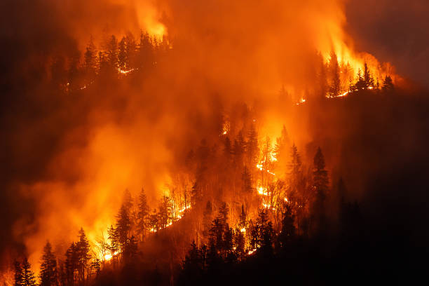 istock Smoke rises after a wildfire over a mountain area, aerial view 2186686004