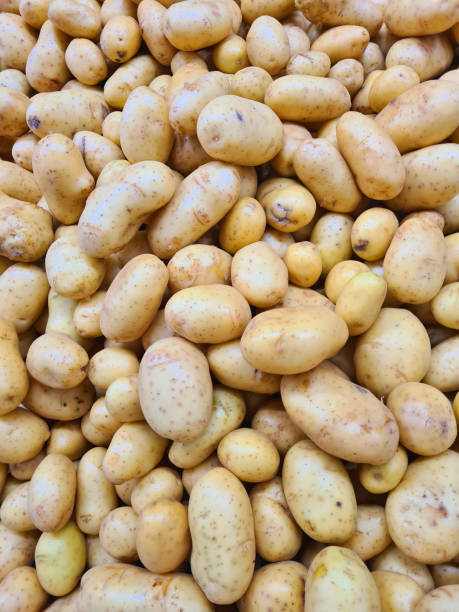 istock Background Featuring a Large Pile of Fresh Potatoes 2186688071