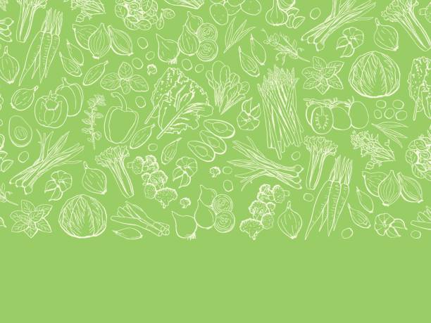 illustrations, cliparts, dessins animés et icônes de ensemble de salade dessiné à la main, modèle de menu d’aliments sains. illustration de contour vectoriel - hygiène alimentaire