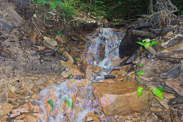 a stream of water through rocks