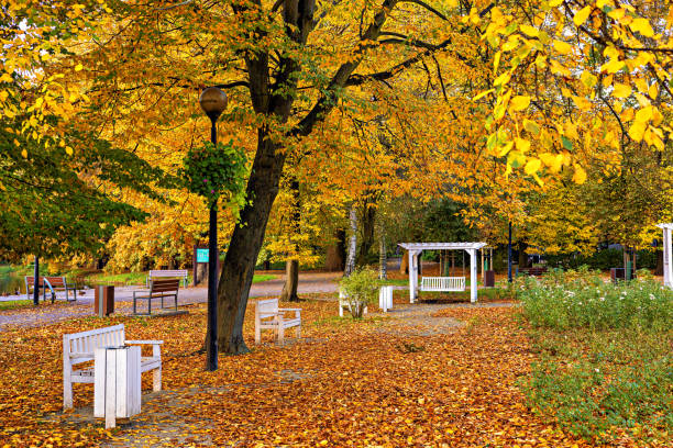 istock Autumn park with white benches and swings. 2186689306