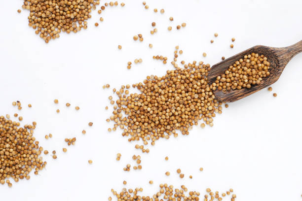 istock Coriander seeds, Vegetables and herbs 2186695458