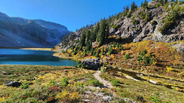 istock Mountain trail along side with alpine creek under blue sky and clouds 2186697473