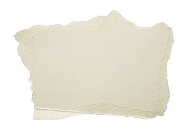 istock piece of white paper tear isolated on white background 2186697541
