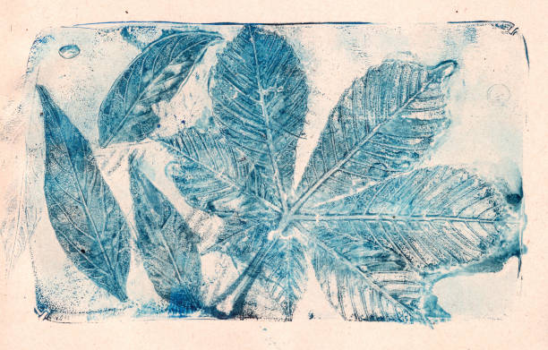 istock imprints of real leaves on paper, creative abstract grunge background 2186697611