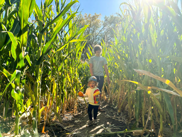 istock Toddler in a pumpkin patch in autumn 2186699455