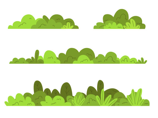 Simple shrubbery tree bush vector illustration
