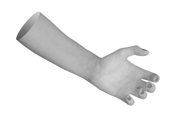 Female hand with an open palm, isolated on a white background. Empty gesture showing care, offer, or help. Closeup of a young woman's hand, highlighting simplicity and beauty.