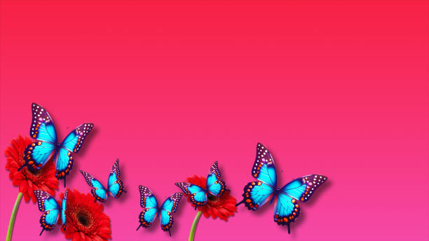 Red Hearts motion and bokeh for Valentine's day Greeting. 4K Romantic looped animation on dark red background for Valentine's day.