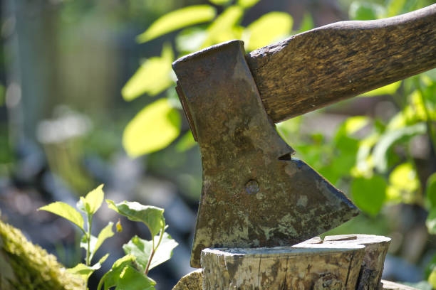 Close-up shot of a weathered axe set in a tree stump surrounded by lush greenery. Perfect for themes of woodwork, gardening, and rustic tools.