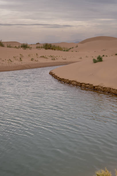 istock Beautiful untouched sand dunes along the river in Inner Mongolia, China 2186719668
