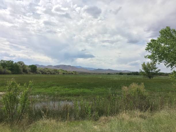 istock scenic mountain landscape with wetlands 2186723078