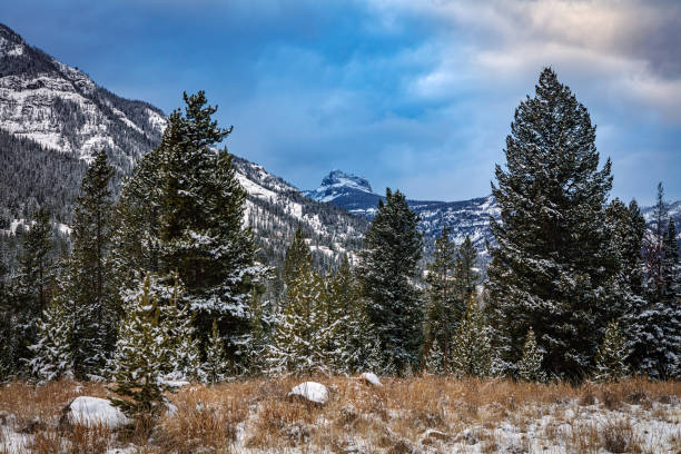 Northwest Wyoming Shoshone National Forest autumn snow-covered landscape at dusk.