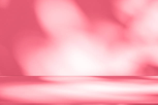 istock Wall interior background, studio, and backdrops show products. with shadow from window color white and pink light. background for text insertion and presentation of product 2186723849