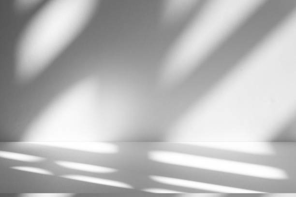 istock Wall interior background, studio and backdrops show products.with shadow from window color white . background for text insertion and presentation product 2186723861