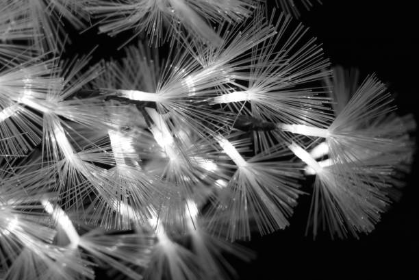 istock Christmas LED light bulbs in the dark 2186724774
