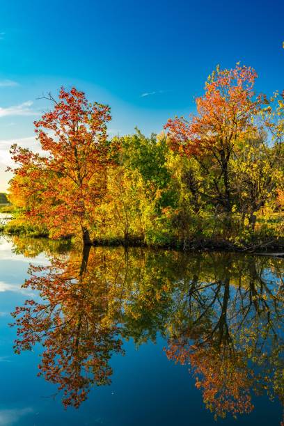 istock Autumn trees reflecting in a lake 2186726619
