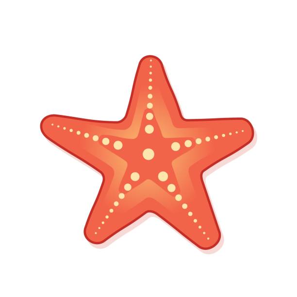 istock Starfish icon in flat style. Sea stars vector illustration on isolated background. Sea animal sign business concept. 2186727241