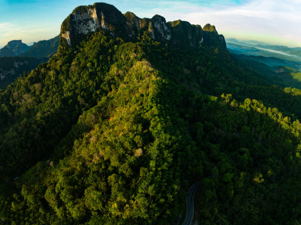 istock Aerial view Tropical Rainforest trees mountains,Top view green forest background 2186727889