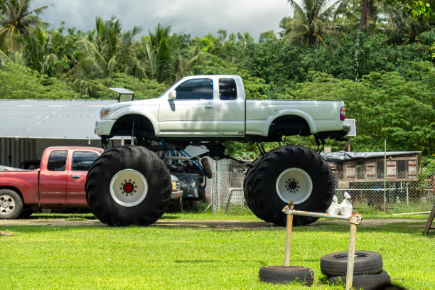 Unique modified truck resting on oversized tires in a rural area