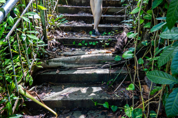 istock Walking up stone steps through lush greenery in Guam 2186730470