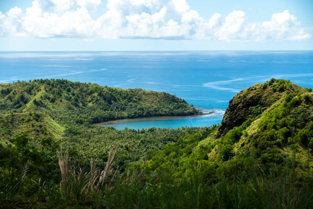 Scenic coastal view from a lush hillside overlooking tranquil waters