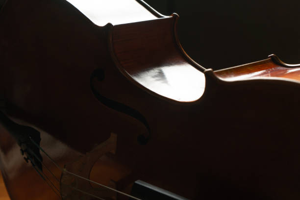 istock cello close up, classical music background, classic string instrument, violin texture wooden backgrounds, low key studio photography backlit and black background 2186730713