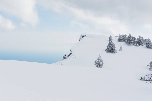 istock Panorama of winter landscape with snow-covered pine forest 2186732914