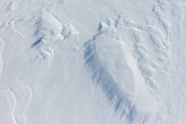 The snow is a bright white color and it covers the ground in a thick layer. The snow is so deep that it almost reaches the ground, creating a beautiful and serene winter landscape