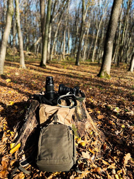 istock Photography gear placed on tree stump in sunlit autumn forest 2186735022