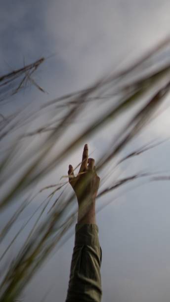 istock Hand reaching up towards the sky in an open field 2186738929