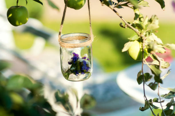 istock Jar With Flowers Hanging From Apple Tree Branch 2186748105