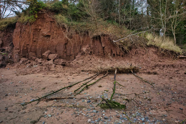 istock Collapsed riverbank and trees on River Mersey, Hale, Halton, Cheshire, England, Britain 2186748603