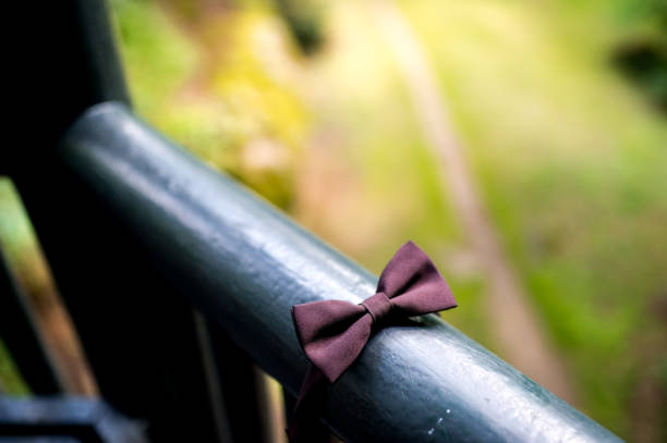 Small brown bow tie resting on a railing in a lush outdoor setting. A brown bow tie is placed on a railing surrounded by greenery.