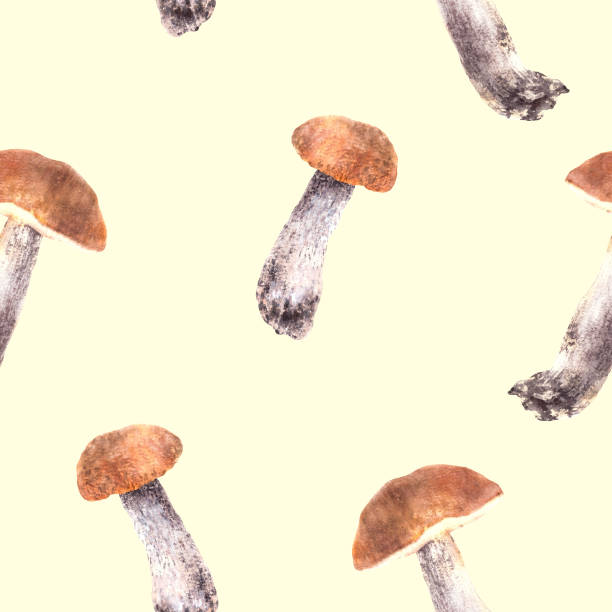 istock Boletus with orange cap seamless pattern Mushrooms, forest fungi Watercolor hand drawn. illustration 2186750006