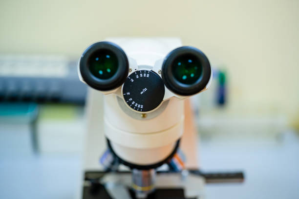 Dual-lens microscope for labs. A microscope featuring dual eyepieces is set up for laboratory research and examination of samples.