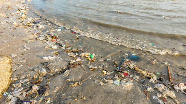 istock trash, plastic cups and plastic bags at the beach. environmental problem concept and healing the world 2186757755